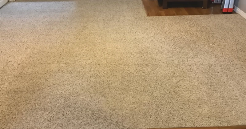Living room carpet evenly clean after hot water extraction